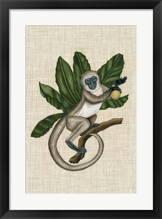 Framed Canopy Monkey III Print