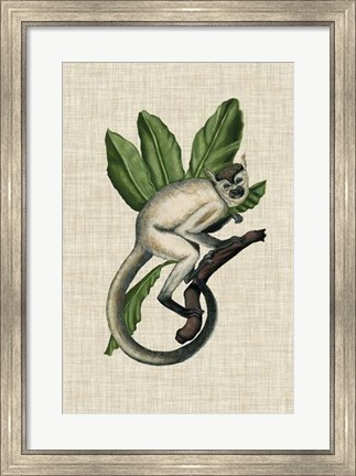 Framed Canopy Monkey IV Print