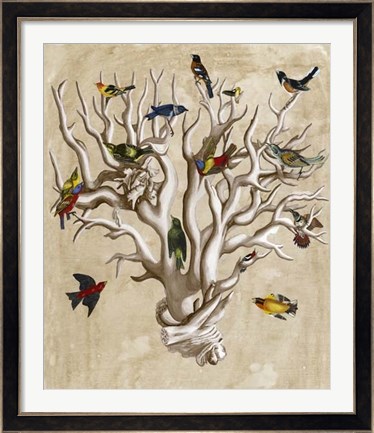 Framed Ornithologist&#39;s Dream I Print