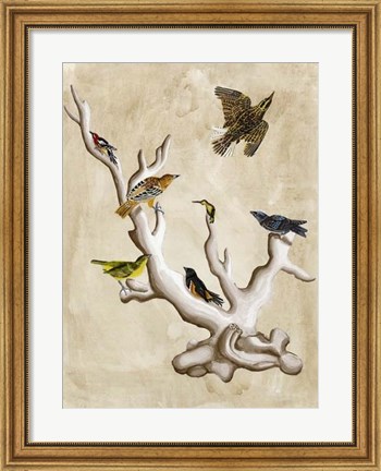 Framed Ornithologist&#39;s Dream III Print