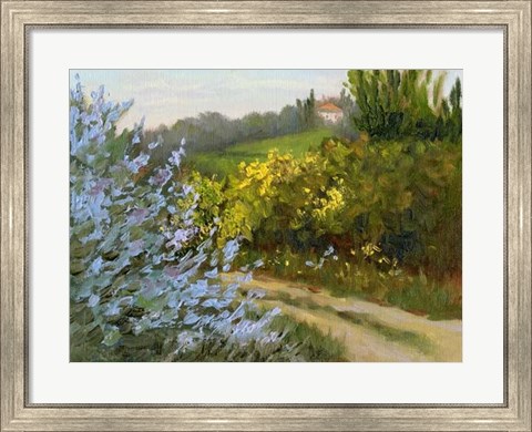 Framed Rosemary by the Road Print
