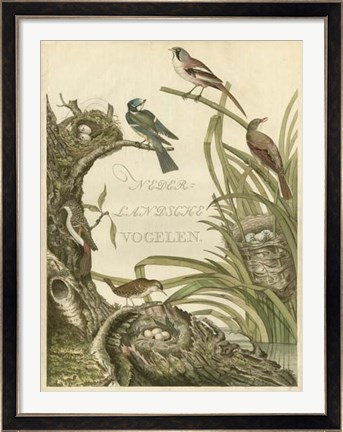 Framed Sanctuary for Birds Print