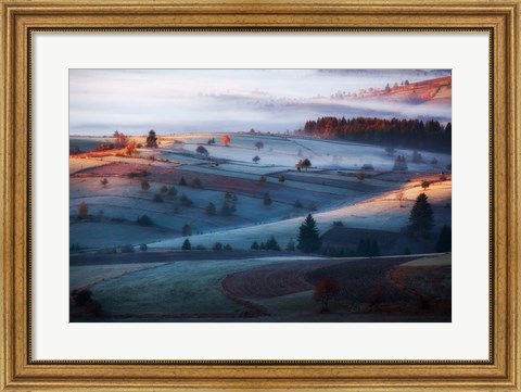 Framed Mist Print