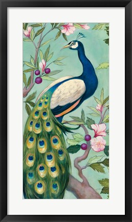Framed Pretty Peacock II Print