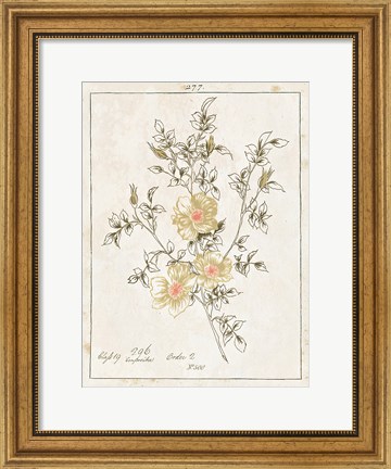 Framed Flowers on White II with Words Print