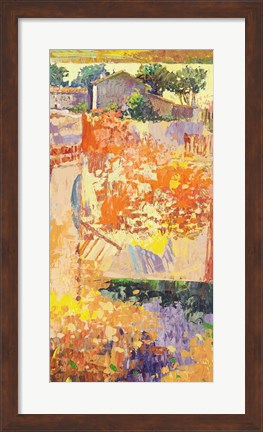 Framed Colore dei Campi III Print