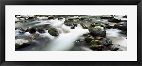 Framed Rocks in Little Pigeon River, Great Smoky Mountains National Park, Tennessee Print