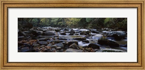 Framed Rocks in a River, Great Smoky Mountains National Park, Tennessee Print