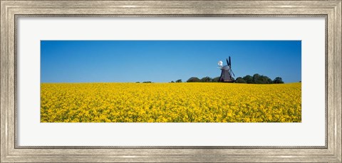 Framed Oilseed Rape Crop with a Traditional windmill, Germany Print