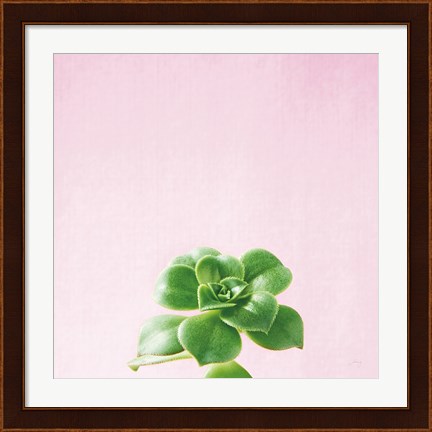 Framed Succulent Simplicity VII on Pink Print