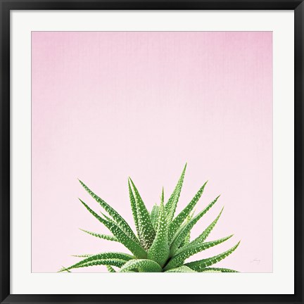 Framed Succulent Simplicity I on Pink Print