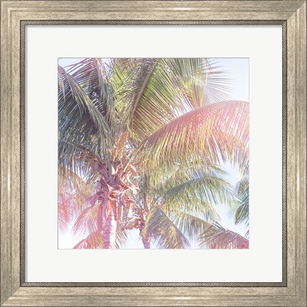 Framed Dream Palm II Print