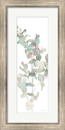 Framed Eucalyptus II White Crop Print