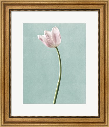Framed Light Tulips I Harbor Gray Print