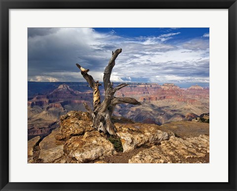 Framed Canyon View V Print