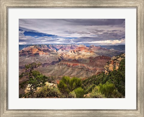 Framed Canyon View VI Print