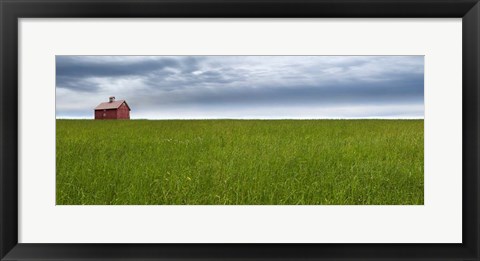 Framed Farm &amp; Country VI Print