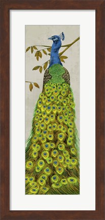 Framed Vintage Peacock II Print