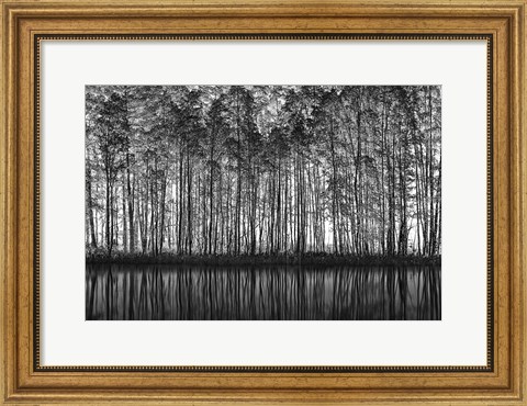 Framed Pointillism Nature Print