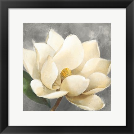 Framed Magnolia Blossom on Gray Print