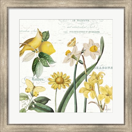 Framed Citron Curiosities II Print