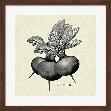 Framed Linen Vegetable BW Sketch Beets Print