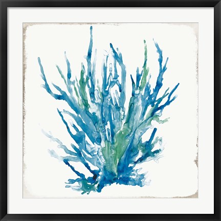 Framed Blue Coral I Print