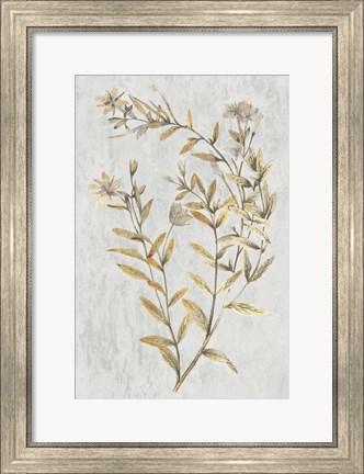 Framed Botanical Gold on White II Print