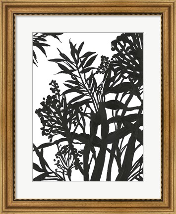 Framed Monochrome Foliage II Print