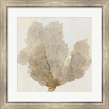 Framed Gold Coral II Print