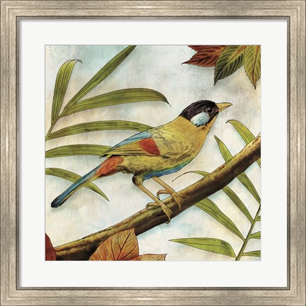 Framed Jungle Bird I Print