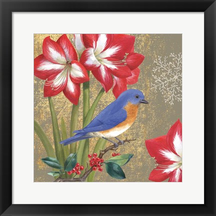 Framed Winter Birds Bluebird Print