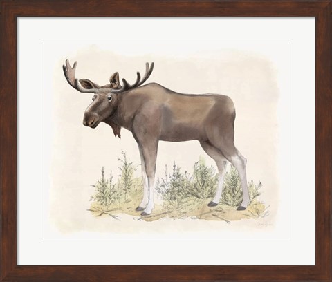 Framed Wilderness Collection Moose Print