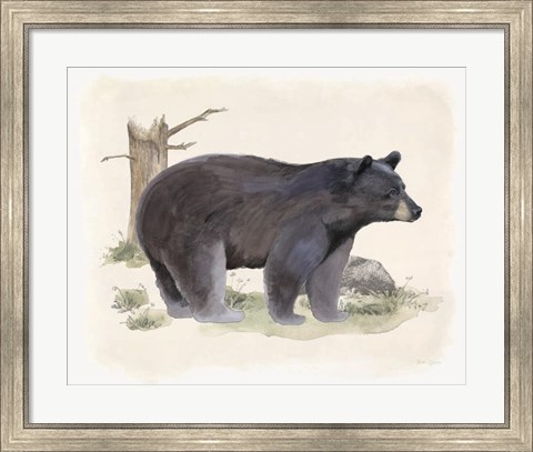 Framed Wilderness Collection Bear Print