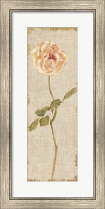 Framed Pale Rose Panel on White Vintage Print