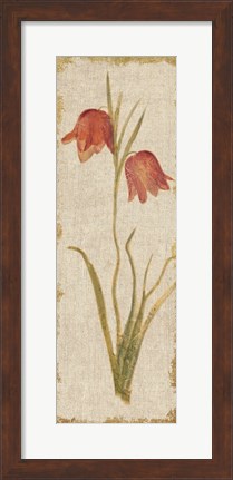 Framed Red Tulip Panel on White Vintage Print