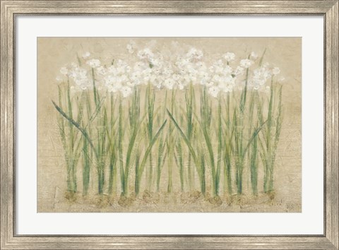 Framed Narcissus Row Cool Print
