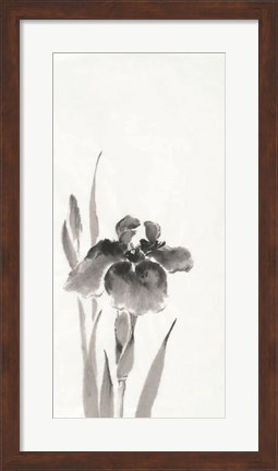 Framed Japanese Iris III Print