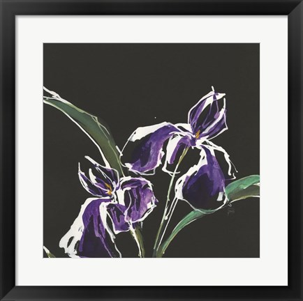 Framed Iris on Black I Print