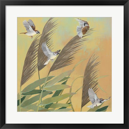 Framed Sparrows and Phragmates Sq Print