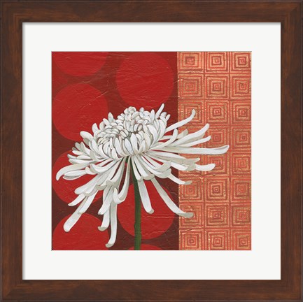 Framed Morning Chrysanthemum II Print