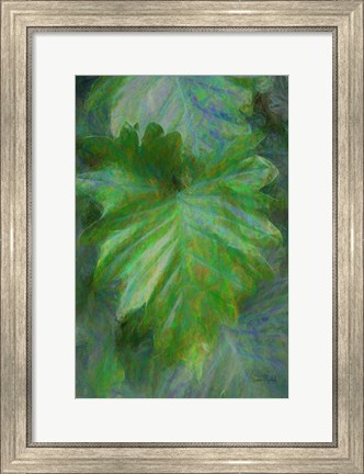 Framed Tropical Leaves II Print
