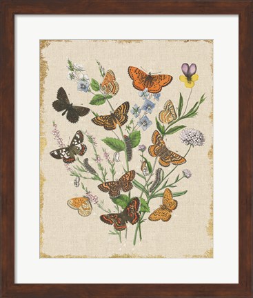 Framed Butterfly Bouquet I Linen Print