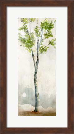 Framed Watercolor Birch Trees I Print