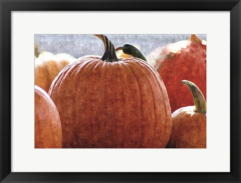 Framed Fall Pumpkin Print