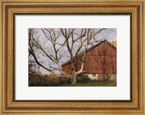 Framed Old Barn Print