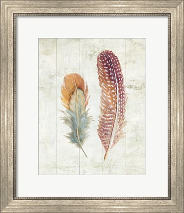 Framed Natural Flora XI Bold Feathers Print