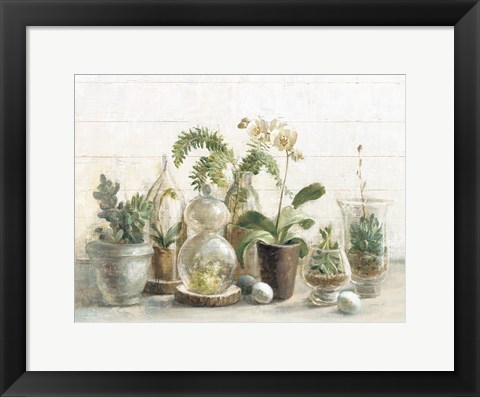 Framed Greenhouse Orchids on Shiplap Print