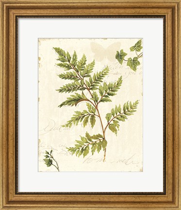 Framed Ivies and Ferns I no Dragonfly Print