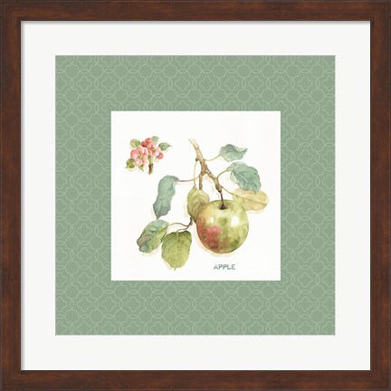 Framed Orchard Bloom I Border Print